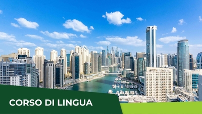 DUBAI EXPERIENCE